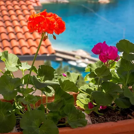 Apartments&rooms By The Sea Brela, Makarska - 13118